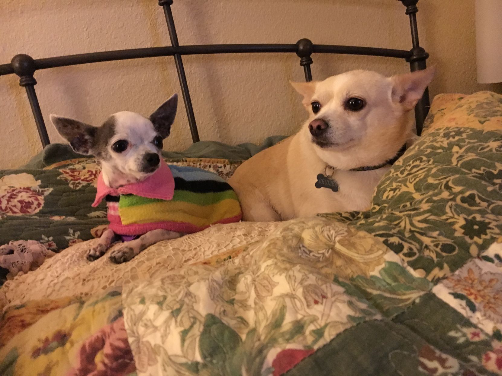 Bruiser & Pearl